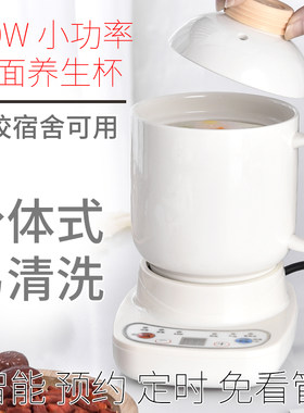 小功率宿舍迷你多功能养生壶小型mini杯炖煮隔水炖单身烧水一人1