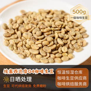 埃塞西达摩G4精品日晒咖啡生豆定制烘焙磨粉2024新产季生豆 500g