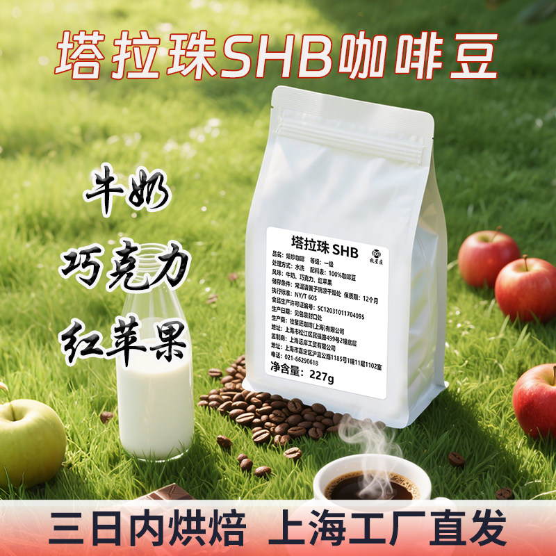 新产季哥斯达黎加塔拉珠SHB水洗咖啡中浅烘焙手冲意式美式咖啡豆