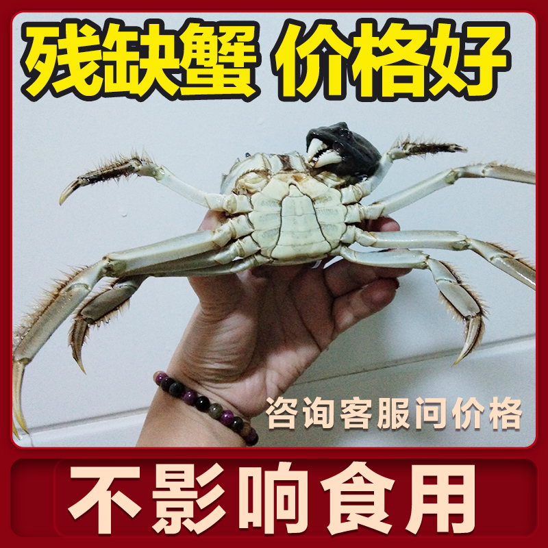新鲜螃蟹洪泽湖大闸蟹残蟹残次蟹