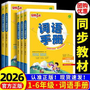 2026新版春雨教育小学语文词语手册一二三四五六年级下册部编人教版小学语文同步学汉语拼读专项训练练习册生字组词拼音学习天天练