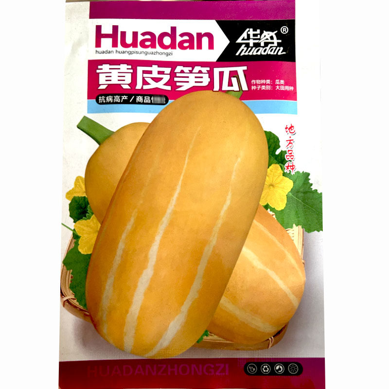 黄皮笋瓜种子黄皮荀瓜菜瓜菊瓜葡瓜条纹南瓜白玉瓜角瓜蔬菜种籽