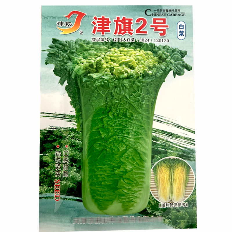 津旗2号青麻叶白菜种子简形抗病