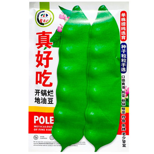 真好吃地油豆种子不上架油豆角开锅烂地油豆种籽春秋播种不易起斑