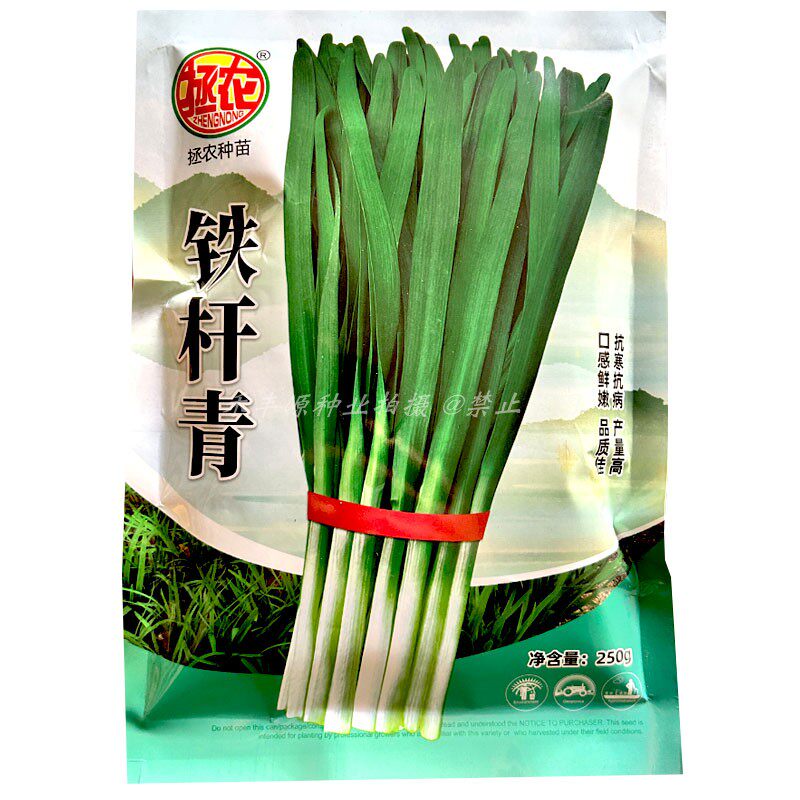 铁杆青韭菜种子抗寒抗病250g不休眠肥厚宽叶翠嫩大田基地种植