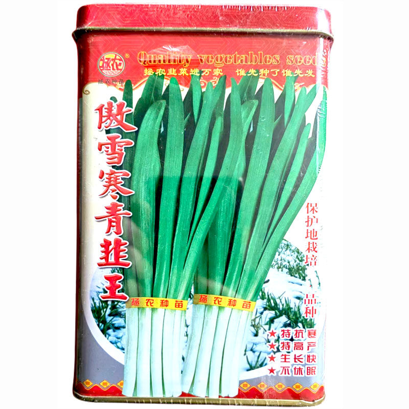 韭菜种子中早熟高产抗病