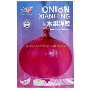水果洋葱种子葱头扁圆加厚型高产圆葱耐寒紫妃水果洋葱籽蔬菜种子