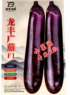 龙丰广茄紫红长茄子种子300大茄烧烤茄粗茄种籽春夏秋季蔬菜种孑