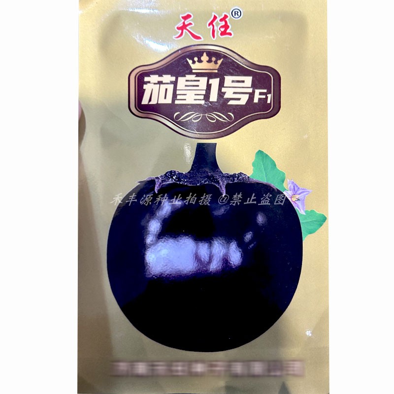 天任茄皇1号紫黑圆茄子种子5g早熟大果黑亮圆茄子种子耐寒大圆茄