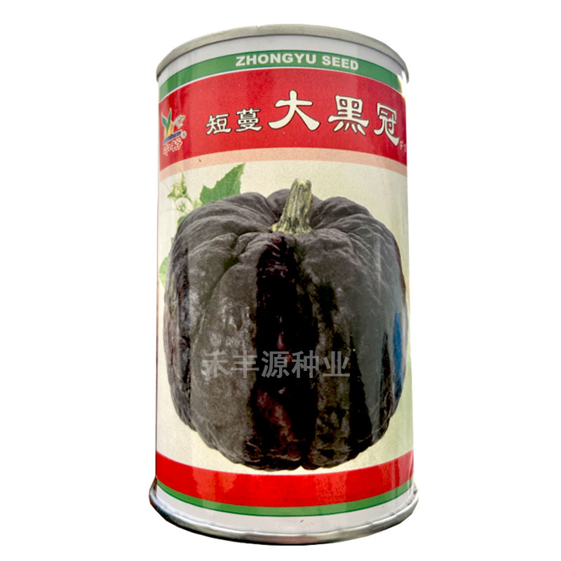 大坪埔种子包心大芥菜种包心