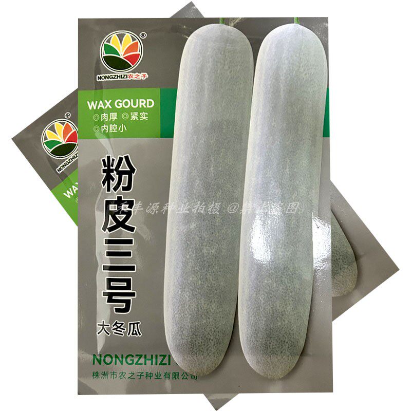 粉皮三号大冬瓜种子中晚熟耐热果皮青绿色杂交厚皮耐运输基地品种