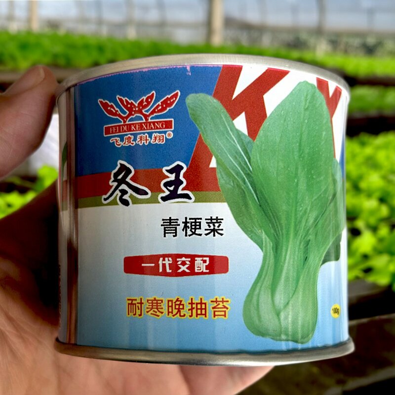 青梗菜种子冬王青梗菜种籽耐寒晚抽苔直立束腰菜杂交耐热耐湿绿杆