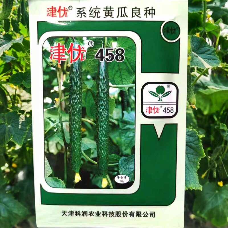 津优458黄瓜种子春夏秋季黄瓜种子顺直密刺短把春秋露地耐热抗病