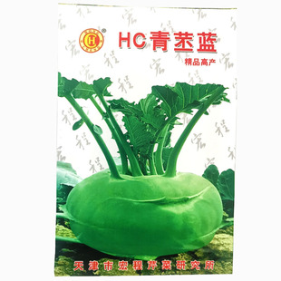 苤蓝种子青丕蓝球茎甘蓝庭院阳台盆栽四季种植蔬菜瓜水果花草籽