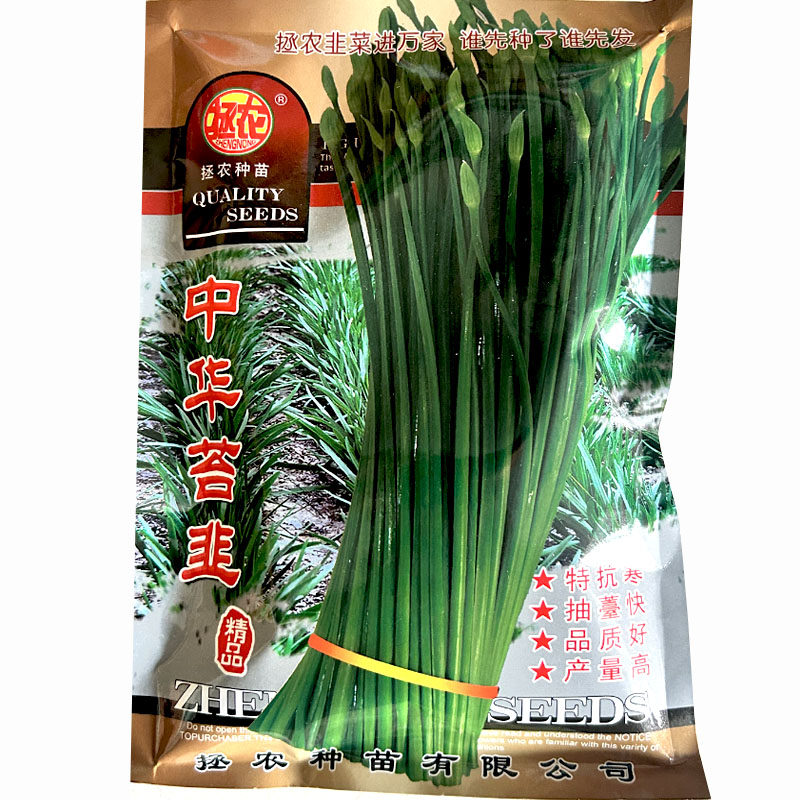 中华苔韭种子韭菜籽抗倒伏抗寒抗病早春播种四季抽苔早熟