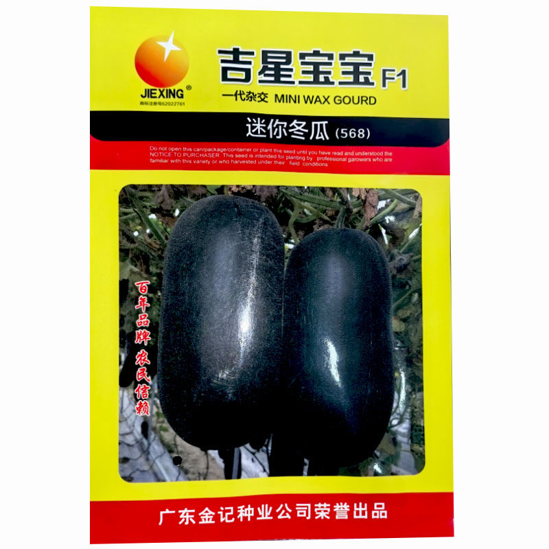 吉星宝宝迷你小冬瓜种子100粒早熟小黑短圆简形冬瓜种早熟易坐果