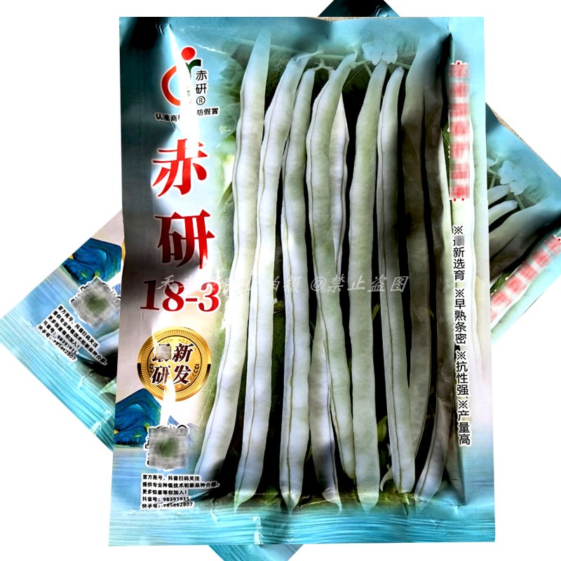 新赤研18-3白芸豆种子早熟条密抗性强产量高200g九粒白无筋豆角