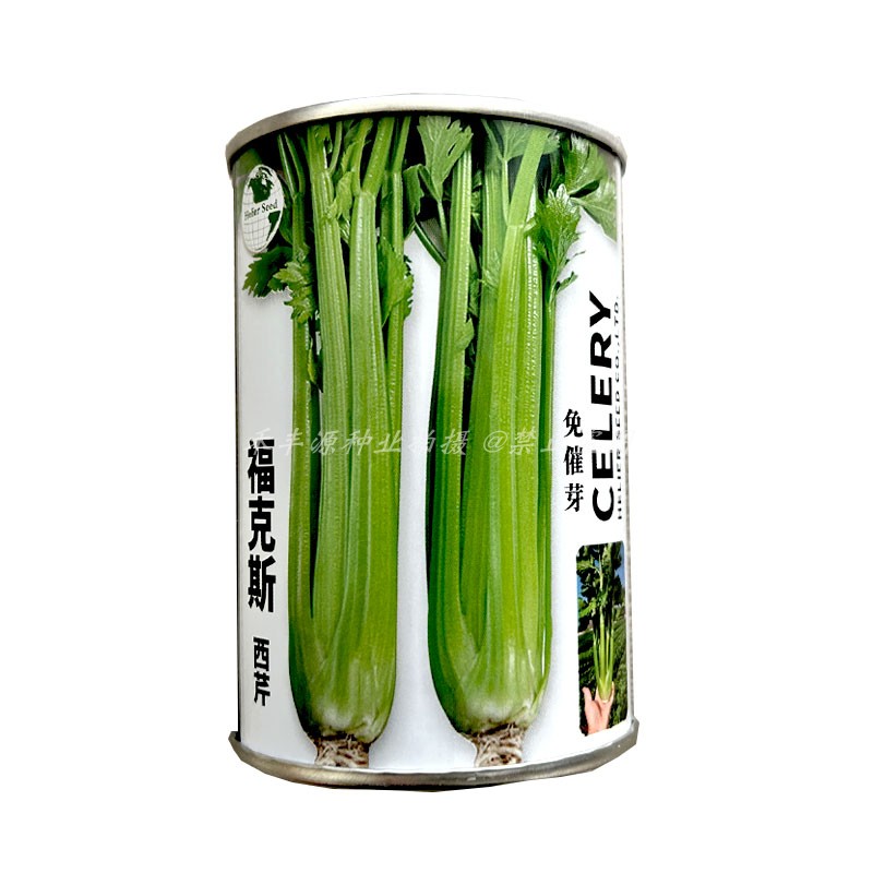 福克斯西芹种子皇后西芹籽100克免催芽速生高产耐热耐寒口感脆嫩