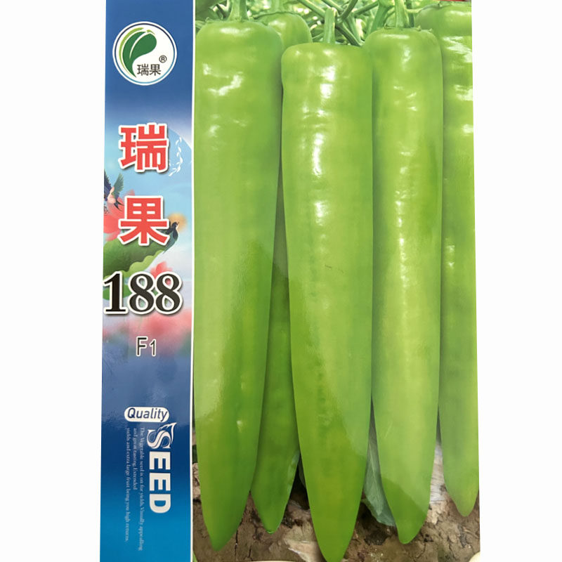 H520大果薄皮黄皮尖椒种子