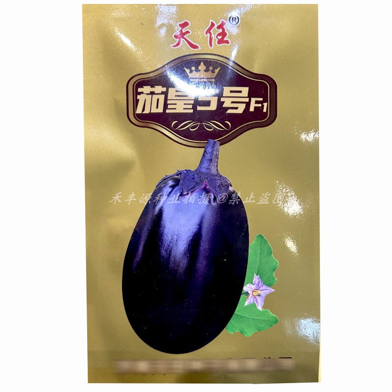 天任茄皇5号早熟卵圆形茄子种子5g黑亮皮绿肉牛心茄籽罐茄种籽