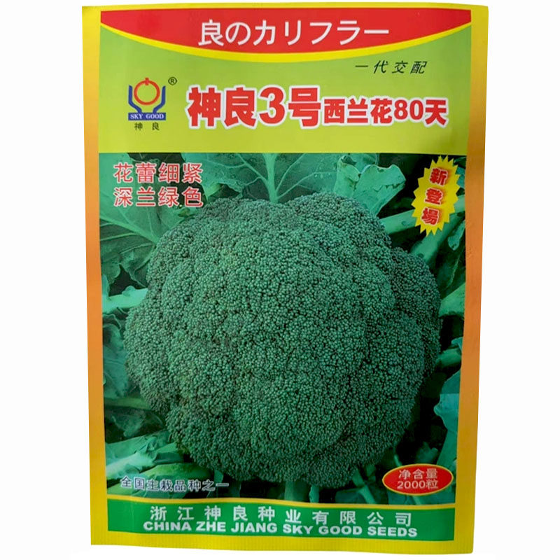 神良3号西兰花80天种子