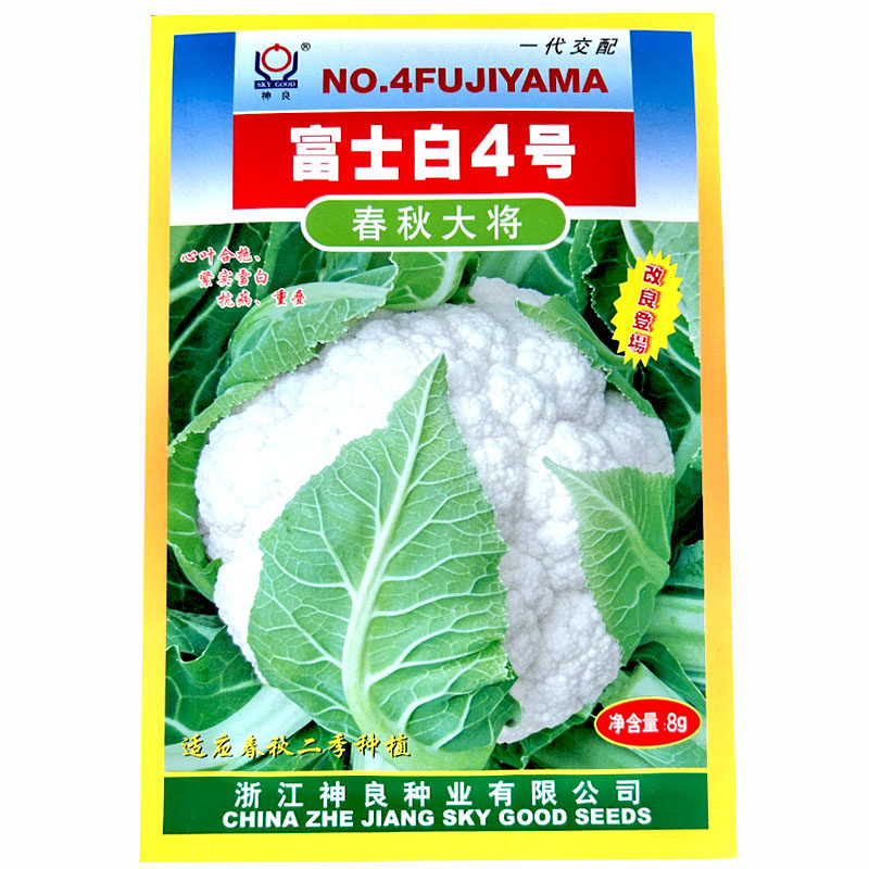 富士白4号花椰菜种子 8g花菜籽春夏秋两季种植耐热耐寒花球白基地