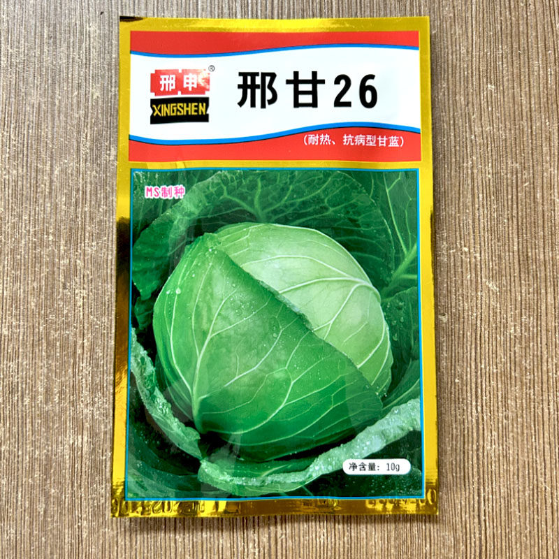 甘蓝种子10g早熟卷心菜