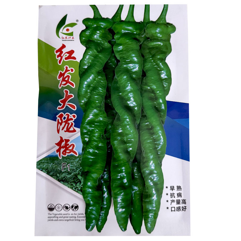 红发大陇椒种子抗病早熟口感好螺丝椒种子薄皮辣味浓大田基地春秋