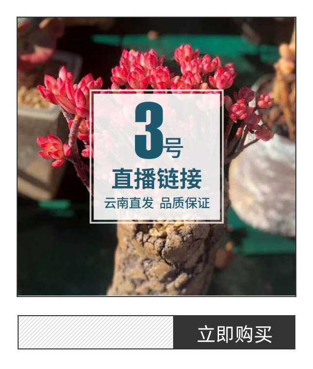 68元包邮