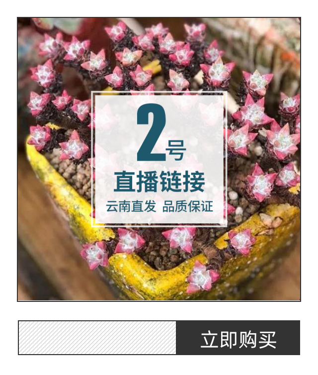 68元包邮