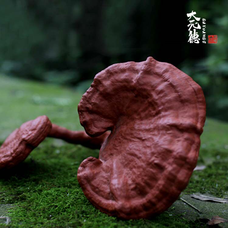 宜兴紫砂手工茶宠灵芝仿真植物雕塑摆件工艺品茶具功夫茶道配件