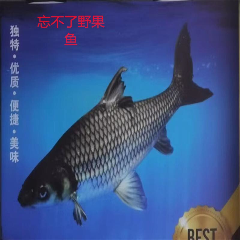 新品上市忘不了野果鱼【马来西亚苏丹鱼】肉质果香鲜嫩肥美新鲜