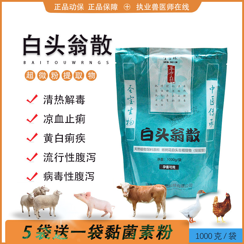 白头翁散兽用拉稀腹泻黄白痢疾回肠炎病毒性腹泻止痢散猪牛羊鸡鸭