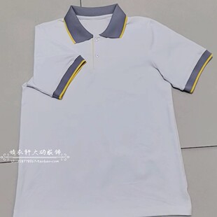 北京育才学校通州分校夏季纯棉学生校服短袖T恤Polo衫班服上衣