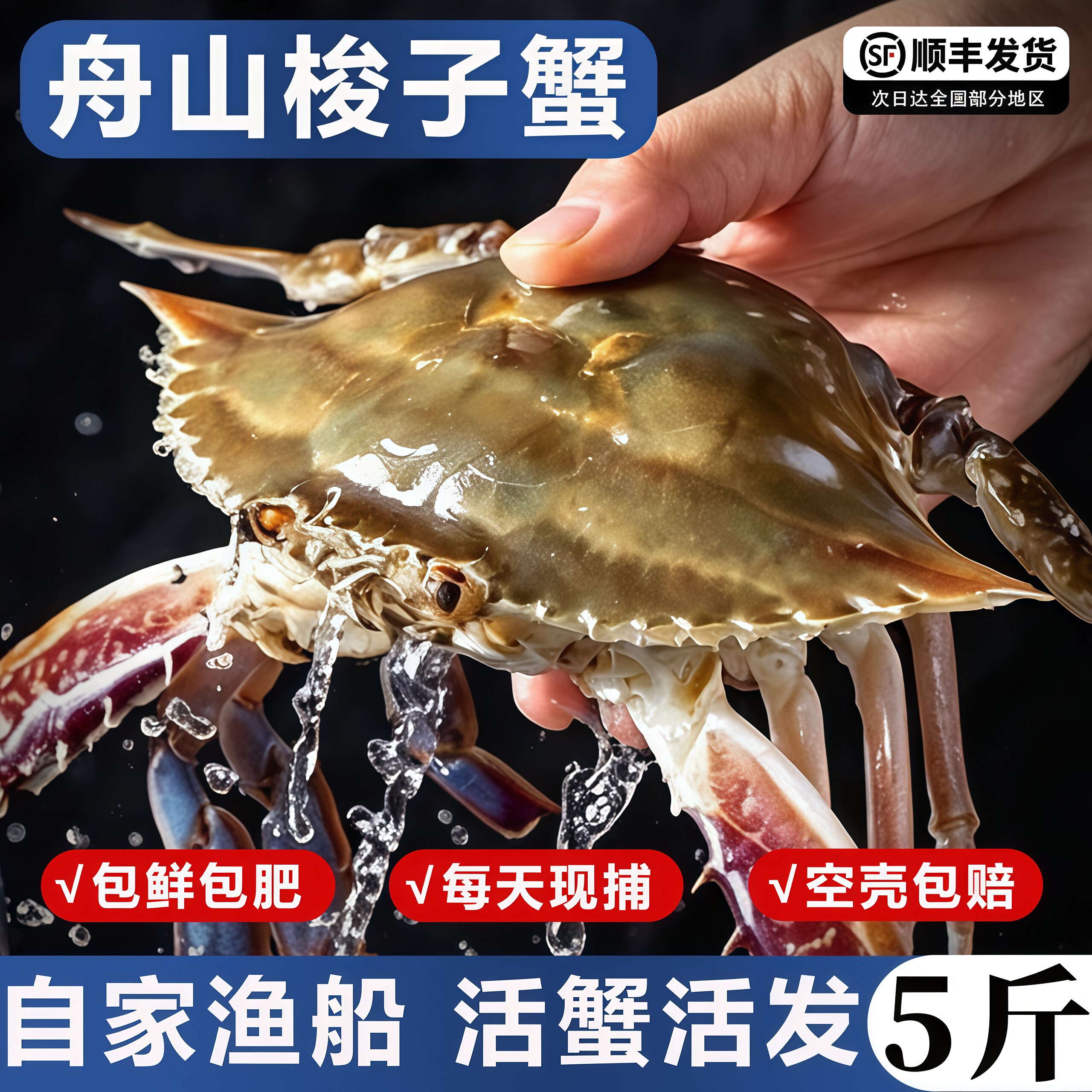舟山特大梭子蟹白蟹活顺丰