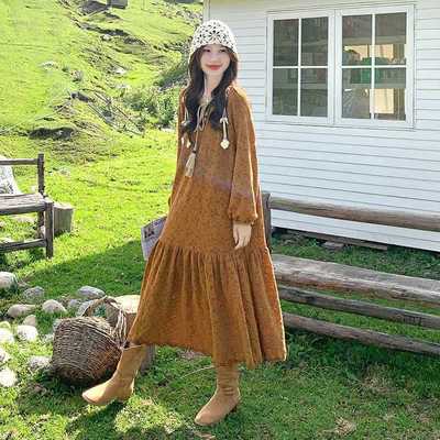 咖色美拉德早秋新款蕾丝法式长裙刺绣印花温柔风气质长袖连衣裙