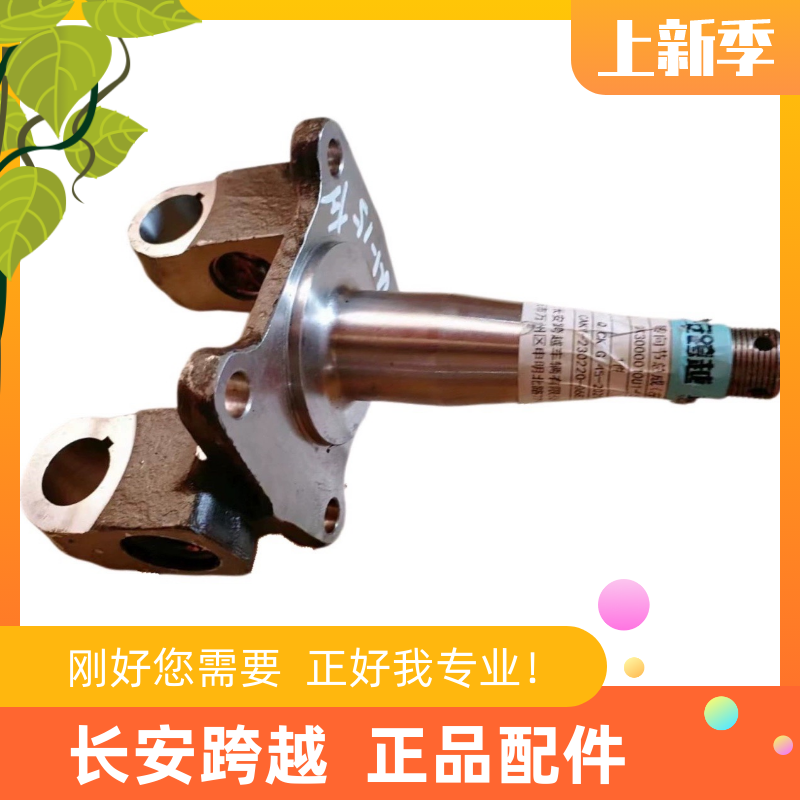 长安跨越者D5前轮转向节总成