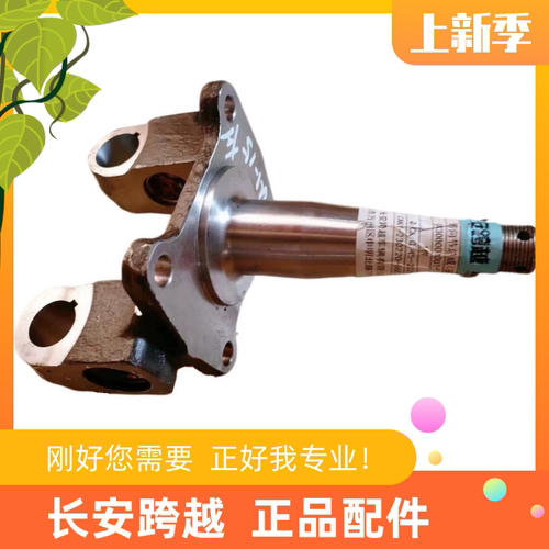 长安跨越者D5前轮转向节总成