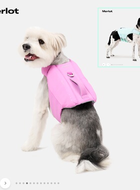 韩国代购Merlot超轻量宠物救生衣狗狗泳衣 狗狗游泳浮力辅助