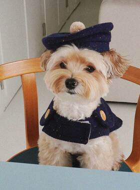 韩国代购NOONOOSOOM英伦风宠物斗篷画家贝雷帽狗狗保暖披风藏蓝色