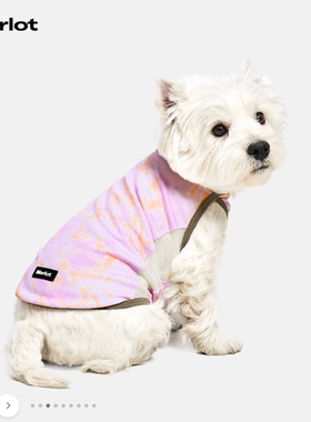 韩国代购merlot狗狗防虫凉凉衣网纱透气中型犬大型犬夏季宠物背心