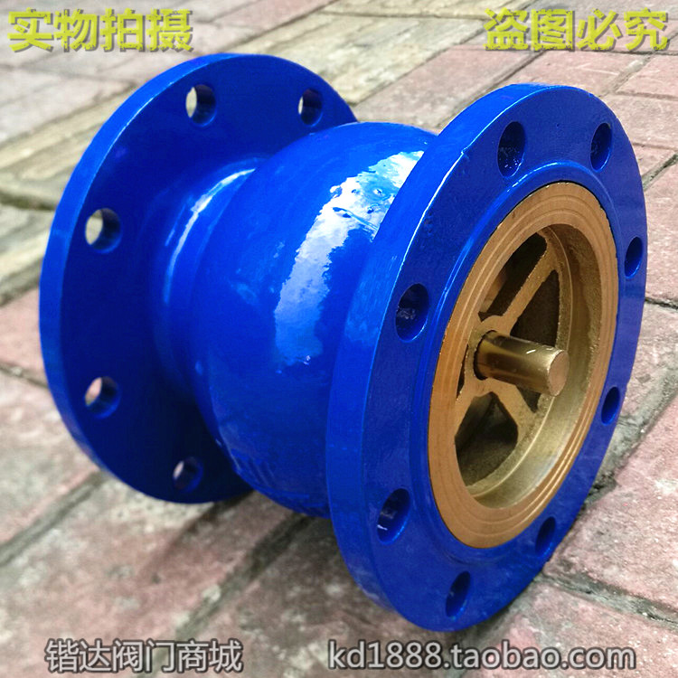 法兰球墨铸铁消声止回阀法兰立式止回阀单向阀4寸6寸8寸DN80 100