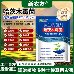 哈茨木霉菌生根壮苗高抗重茬防治根腐微生物菌剂