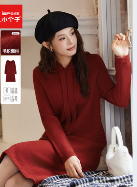 IEF/爱依服2024新款秋季毛织长卫衣5S09-DSW0552-