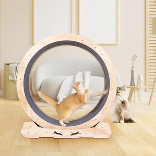 现货宠物犬猫跑步机圈绒垫健身滚轮运动跑轮家具高纤板猫爬架