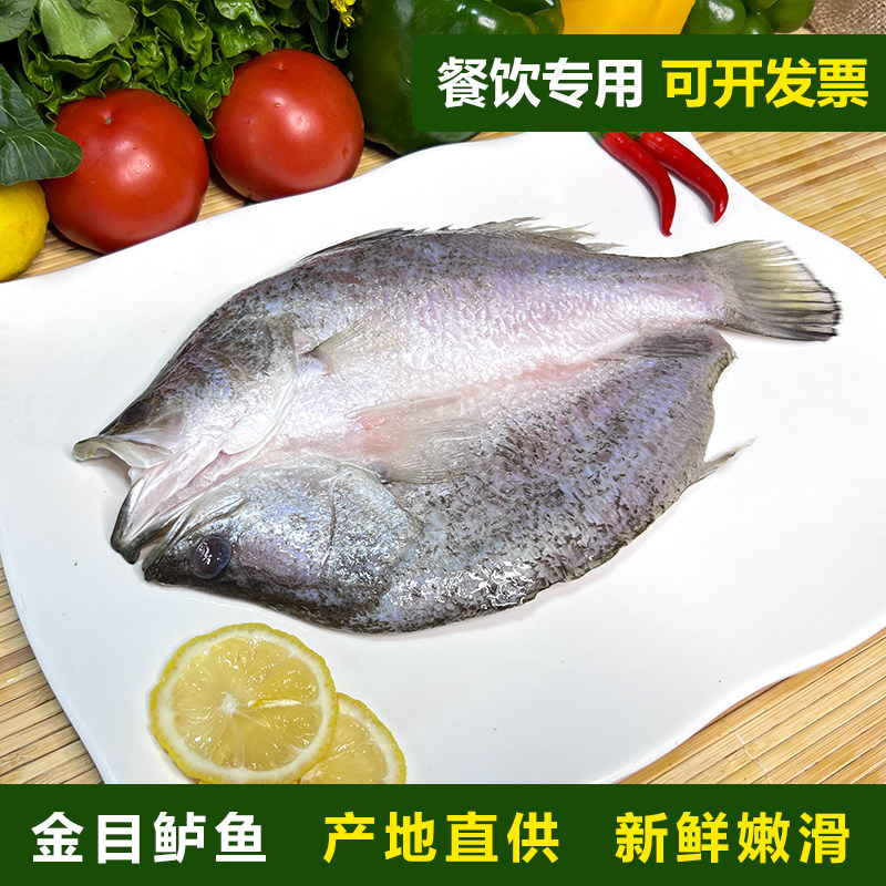 金目鲈鱼游龙斑盲曹鱼清蒸烤鱼纸包鱼半成品商用尖吻金晶斑鱼鲈鱼