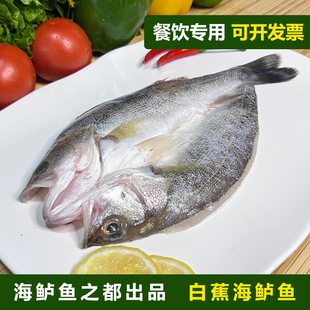 白蕉海鲈鱼新鲜冰冻开背烤鱼半成品商用七星鲈鱼芦鱼卢鱼广东珠海