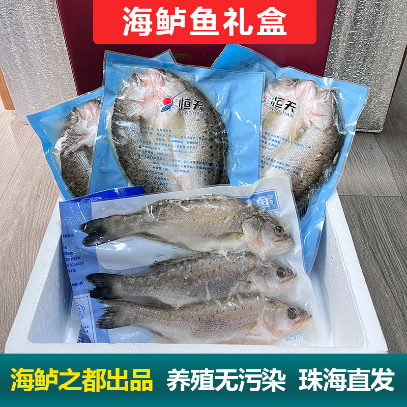 白蕉海鲈鱼新年大礼包礼盒冰冻鲜活新鲜开背腌制调味鲈鱼海鲜水产