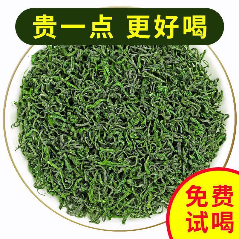 崂山绿茶2026新茶春茶青岛特产浓香型高山云雾茶叶特级散装500g