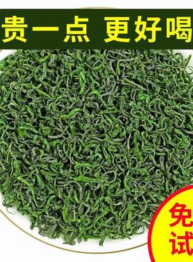 崂山绿茶2026青岛特产浓香型